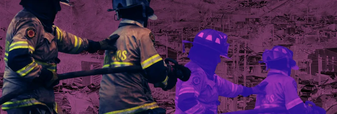 Incendios, gestión del daño y la lógica del Estado