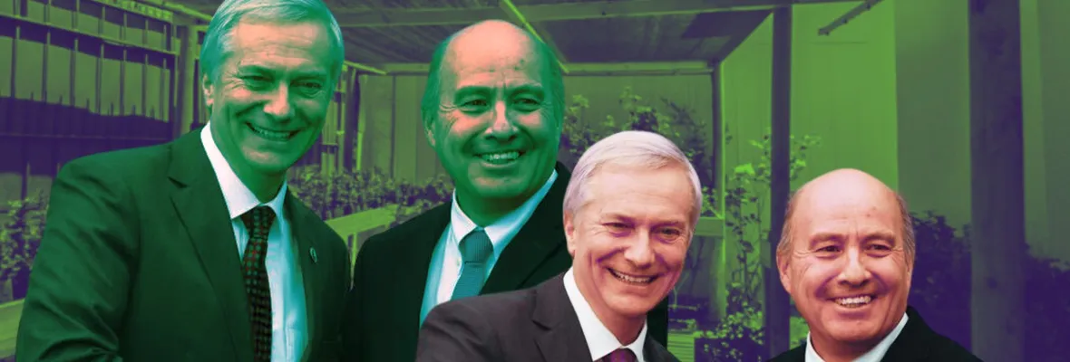 Tierras raras: la obsesión del ministro de Hacienda de Kast con el naranjillo