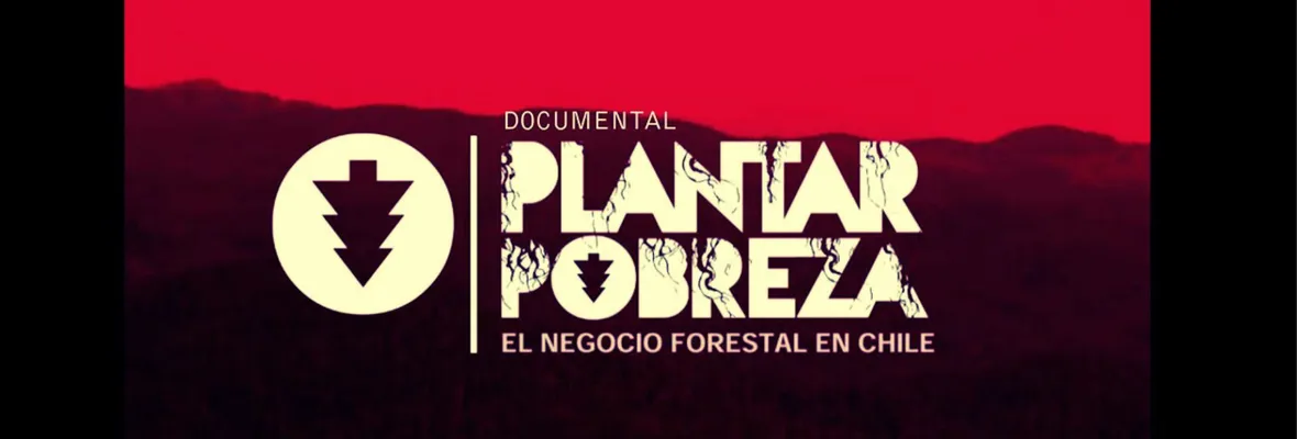 Plantar Pobreza: El negocio forestal en Chile | 11 años de un documental tristemente vigente