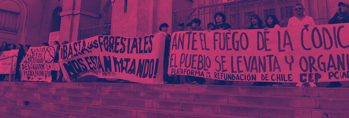 Concepción: la población se movilizó contra impactos del modelo forestal y amenazas extractivas en el Biobío y Ñuble
