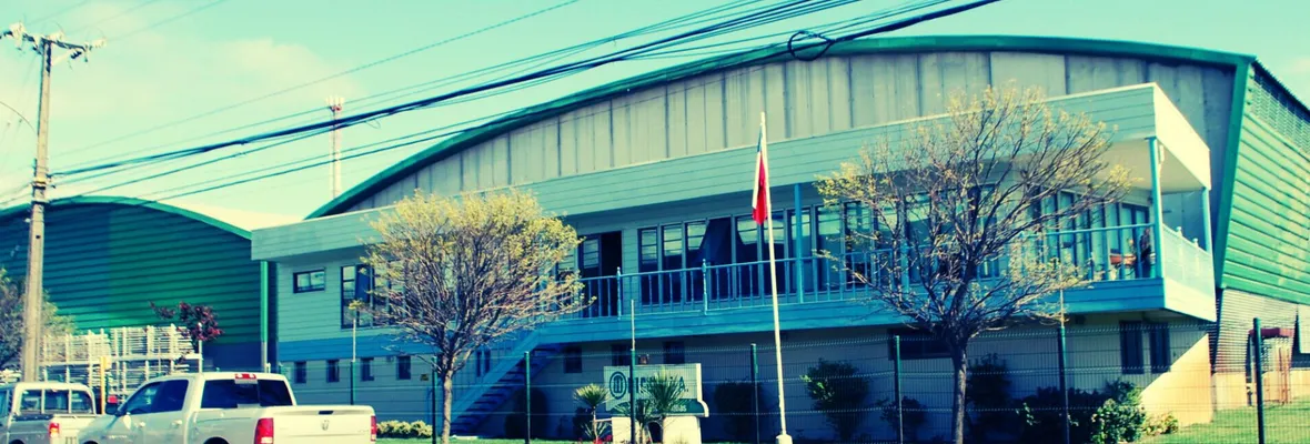 Tragedia laboral en Coronel: Trabajador muere al interior de maderera ITI Chile tras caída en altura