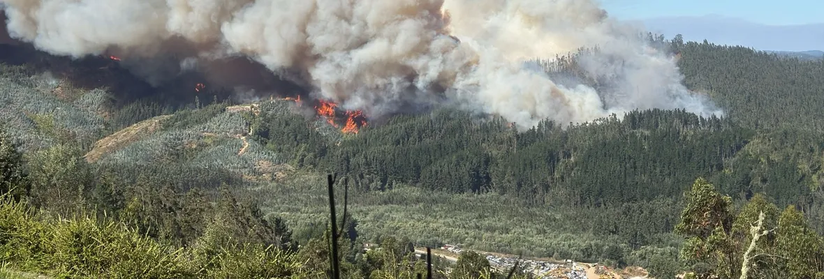 "Rancho Chico" el incendio forestal olvidado de Hualqui y dejado de lado en el Plan de Reconstrucción