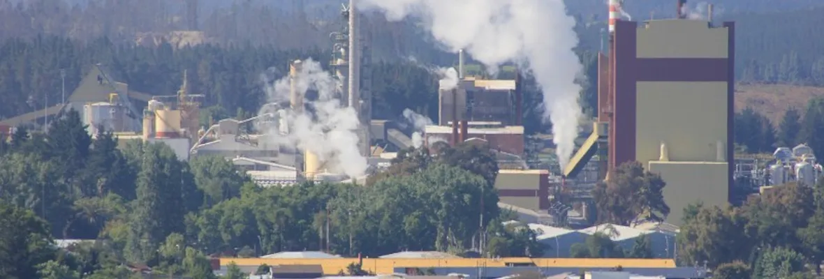 Trabajador muere al interior de planta de celulosa CMPC Laja
