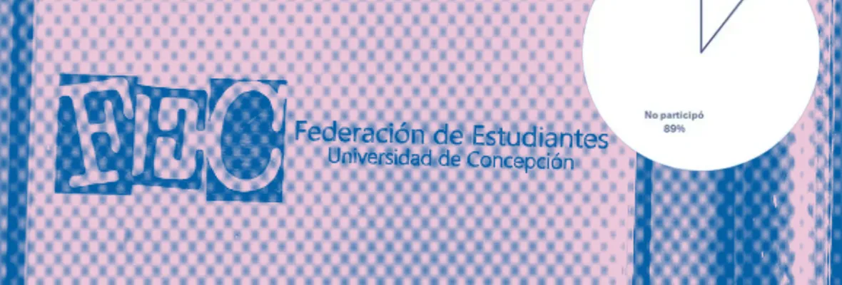 Elecciones FEC: 89% de las y los estudiantes no participaron del proceso en campus Concepción