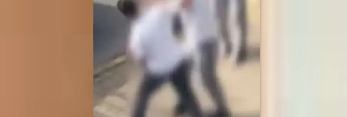 Agresiones y violencia: el sistema escolar en su propio laberinto