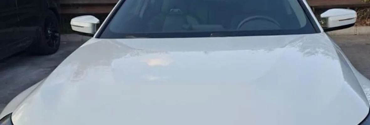 Privilegios de la clase alta: Conductor a 264 km/h quedó libre con su licencia y Juzgado prohibió difundir su identidad
