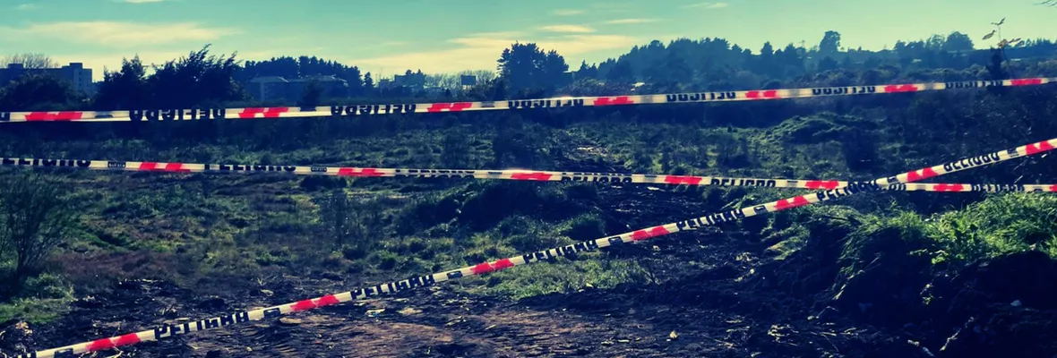 Movimiento de Defensa del Humedal Paicaví denuncia intervención con maquinaria pesada en Sitio Prioritario para la Conservación de la Biodiversidad y exige fiscalización urgente