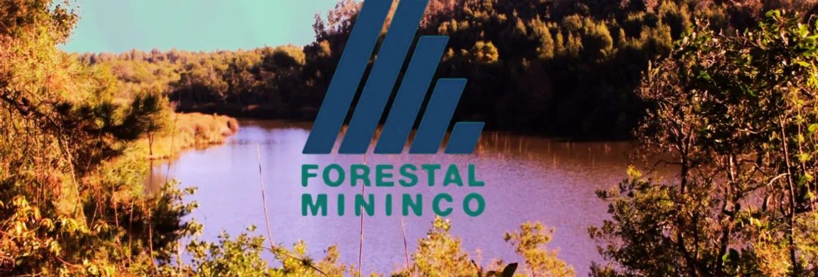 Forestal Mininco posee concesiones mineras que abarcan terrenos de INACAP y el entorno de Laguna Junquillar en San Pedro de la Paz