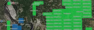 Locura por tierras raras amenaza a Parque Nonguén y últimos relictos nativos en zonas campesinas de todo Hualqui