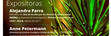 [FORO] Árboles Transgénicos: El nuevo y nefasto impulso de la industria forestal