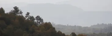 Nuevo estudio encuentra evidencias que explican la productividad de los bosques con mayor biodiversidad