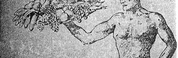 El Negro Montoya: Naturista y Anarcosindicalista de la provincia de Arauco