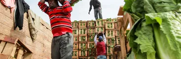 Denuncian abandono y no pago de sueldos a haitianos en la Provincia de Ñuble