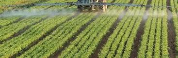 Investigadores de instituto agropecuario argentino cuestionan duramente al modelo agroindustrial