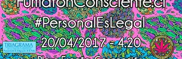 Penquistas usuarios de Cannabis solicitarán amparo preventivo contra policías y ministerio público