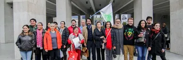 Cannabis: Amparo de la Libertad Esencial