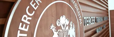 Tribunal Ambiental de Valdivia rechaza recurso contra termoeléctrica El Campesino en Bulnes