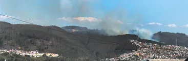 Mañana se realizará en Tomé denuncia pública contra empresas forestales por alto peligro de incendios