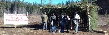 Comunidad Autónoma Mapulwe recupera predio antes controlado por forestal Masisa