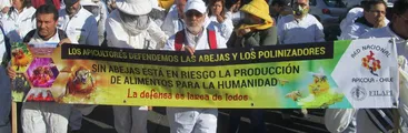 Multitudinaria marcha en Valparaíso: Sin abejas no hay vida