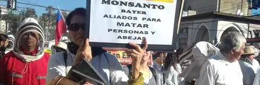 El zumbido de la histórica marcha de apicultores