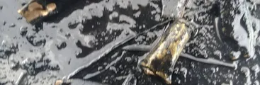 Asesinan a comunero mapuche del sector de Antiquina