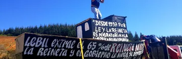 Pescadores de Lebu en pie de guerra para que la reineta sea declarada especie migratoria