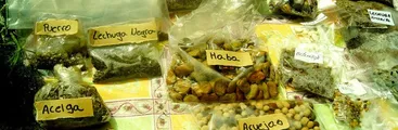 Más de 42 millones de personas están pasando hambre en América Latina