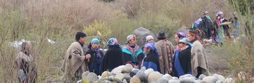 Oposición mapuche a las hidroeléctricas. El caso de la defensa del río Txuful Txuful