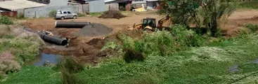 Multan y paralizan a Madesal por intervenir humedal Paicaví: empresa seguiría realizando trabajos
