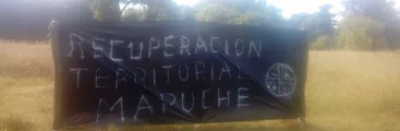 Comunidad mapuche de Padre de las Casas recupera fundo ocupado por inmobiliaria