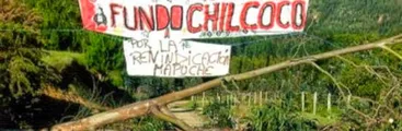Forestal Arauco busca desalojar este martes a familias mapuche de sus terrenos en Arauco