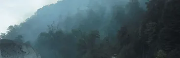 Incendio afecta a bosque nativo en el valle Achibueno [VIDEO]