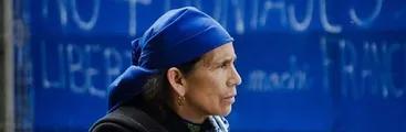 Abogada de comuneros de Caso Luchsinger: no hay nuevos antecedentes por parte de la Fiscalía