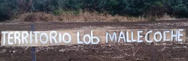 FFEE de Carabineros desaloja violentamente recuperación territorial mapuche en Collipulli