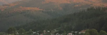 Vecinos rechazan línea de alta tensión que pasaría sobre humedal en Carampangue [VIDEO]