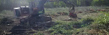 Cinco maquinarias incendiadas en un presunto ataque incendiario en Mulchén