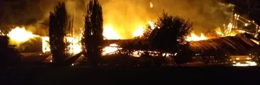 Atentado incendiario en Trongol Bajo deja 5 máquinas forestales destruidas