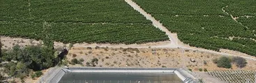 Reflexiones sobre el Neo-agroextractivismo: ni prosperidad, ni desarrollo…