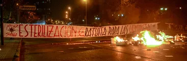 ¿Qué es el Movimiento Social Patriota? Conozca a la organización de extrema derecha que estuvo detrás de las acciones contra las feministas en la marcha del 25 de julio en Santiago