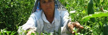 Estatuto agrícola: un partido que estamos por perder