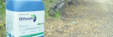 Interponen recurso de protección contra Forestal Arauco por fumigar con glifosato frente a una vivienda en Quilaco