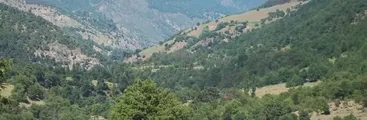 Mapuche families in Alto Biobío respond to eviction order: ‘We will not leave the territory’