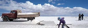 Cámara de Diputados rechazó artículo que habría permitido expropiar el Litio a SQM