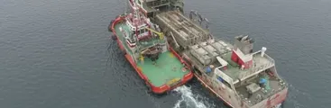 Preocupación ante arribo de barco salmonero con carga descompuesta a Talcahuano y Florida