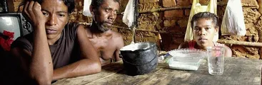 ¿Qué le pasa al mundo? El presente humano entre la hambruna y la obesidad