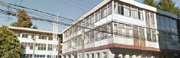 Visita internacional a Liceo Enrique Molina: Hasta suecos sintieron frío