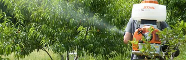 Costos de la agroexportación: Niños intoxicados por plaguicidas altamente peligrosos en Maule