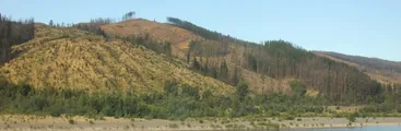 Informe apunta presencia de oro en Nirivilo: gerentes invocan a transnacionales mineras para el saqueo del Maule sur