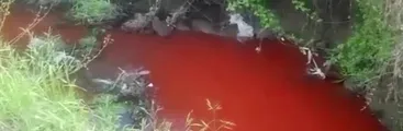 Critican poca protección de los humedales tras episodio de vertimiento de líquido rojo canal de Talcahuano